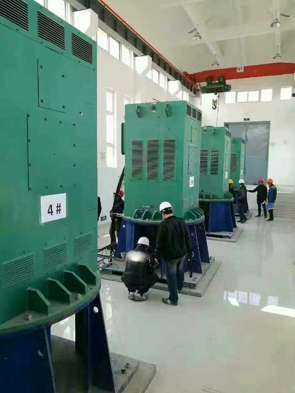 广安某污水处理厂使用我厂的立式高压电机安装现场